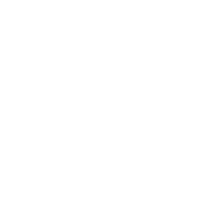 meson abundancia logo1